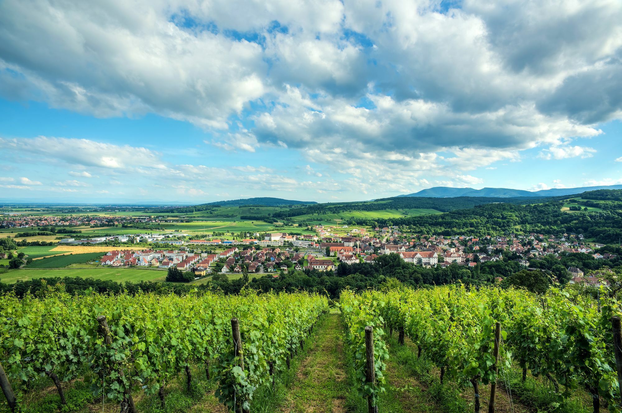 Comfort Aparthotel Mutzig Portes D'Alsace Zewnętrze zdjęcie